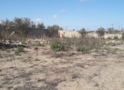 Satılır 30 sot torpaq Albalı