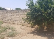 Satılır 5 sot torpaq Bilgəh