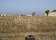 Satılır 2000 sot torpaq Xaçmaz