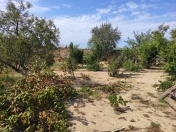 Satılır 10 sot torpaq Bilgəh