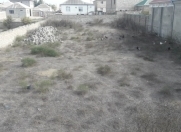 Satılır 10 sot torpaq Binə