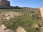 Satılır 10 sot torpaq Novxanı