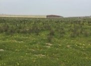 Satılır 6 sot torpaq Saray