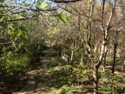 Satılır 10 sot torpaq Əhmədli