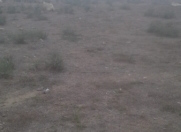 Satılır 27 sot torpaq Mehdiabad