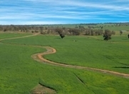 Satılır 10 sot torpaq Ramana