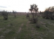 Satılır 120 sot torpaq Buzovna