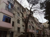 Satılır 2 otaqlı 48 m2 köhnə tikili 6 mkr