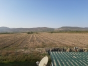 Satılır 186 sot torpaq Quba