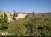 Satılır 9 sot torpaq Olimpik Star