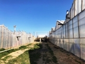 Satılır 2 otaqlı 22000 m2 obyekt Zirə