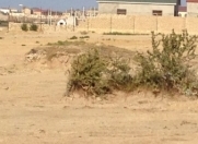 Satılır 50 sot torpaq Pirşağı