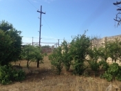 Satılır 14 sot torpaq Albalı