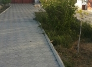 Satılır 4 otaqlı 500 m2 bağ evi Saray