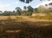 Satılır 3 sot torpaq Biləcəri