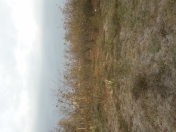 Satılır 8 sot torpaq Xudat