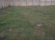 Satılır 3 sot torpaq Mehdiabad