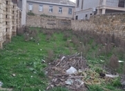 Satılır 3 sot torpaq Digah