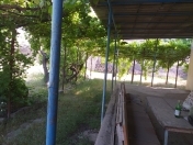 Satılır 12 sot torpaq Digah