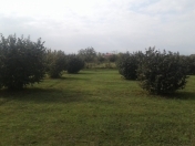 Satılır 40 sot torpaq Qəbələ