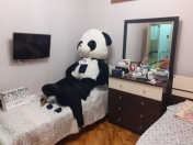 Satılır 2 otaqlı 55 m2 yeni tikili 2 mkr