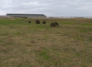 Satılır 300 sot torpaq Məhəmmədli