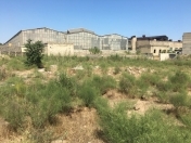 Satılır 39 sot torpaq Bakıxanov