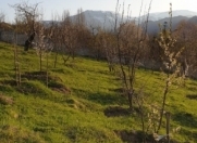 Satılır 29 sot torpaq Quba