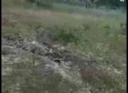 Satılır 10 sot torpaq Ramana