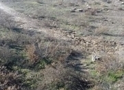 Satılır 8 sot torpaq Masazır