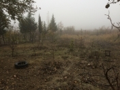 Satılır 25 sot torpaq Naftalan