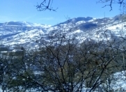 Satılır 2000 sot torpaq Quba