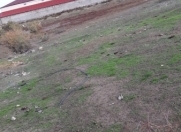 Satılır 130 sot torpaq Masazır