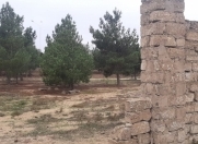 Satılır 12 sot torpaq Qala