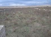 Satılır 5 sot torpaq Binə