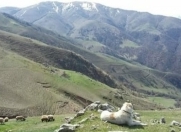 Satılır 90000 sot torpaq İsmayıllı