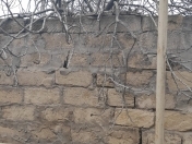 Satılır 2 otaqlı 75 m2 bağ evi Nardaran