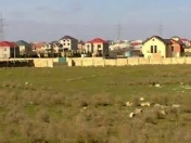 Satılır 4 sot torpaq Y.Suraxanı