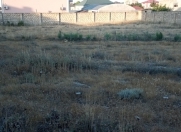 Satılır 15 sot torpaq Mərdəkan