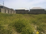 Satılır 7 sot torpaq Görədil