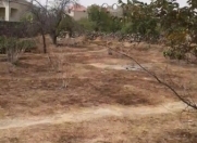 Satılır 10 sot torpaq Maştağa