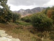 Satılır 36 sot torpaq Xızı