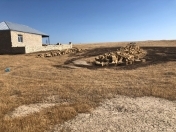 Satılır 6 sot torpaq Müşfiqabad