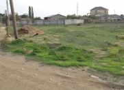 Satılır 8 sot torpaq Albalı