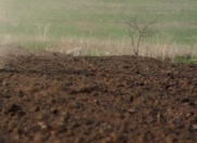 Satılır 90 sot torpaq Quba