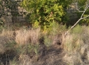 Satılır 6 sot torpaq Mehdiabad