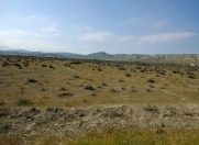 Satılır 100 sot torpaq Perekeşkül