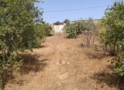 Satılır 24 sot torpaq Ləhic Bağları