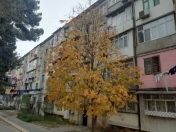 Satılır 2 otaqlı 56 m2 köhnə tikili 5 mkr