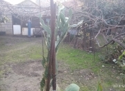 Satılır 4 otaqlı 64 m2 həyət evi Əmircan